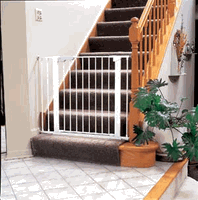 Kidco Center Gateway Baby Gate